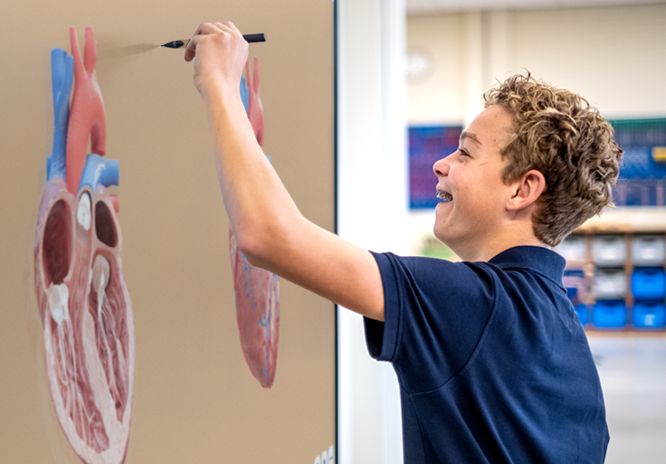 Leerling in voortgezet onderwijs werkt in Presenter aan Prowise touchscreen