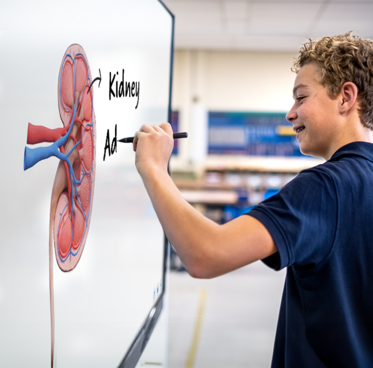 Student with pen writing on the Prowise Touchscreen Ultra